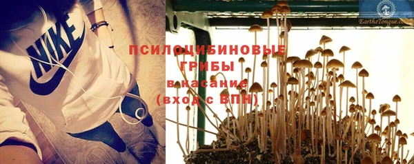трава Алзамай