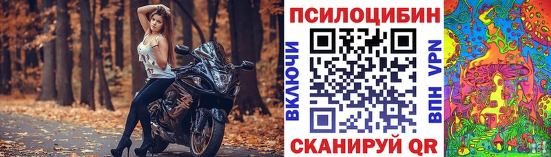 гидра   Муром  Псилоцибиновые грибы Psilocybine cubensis 